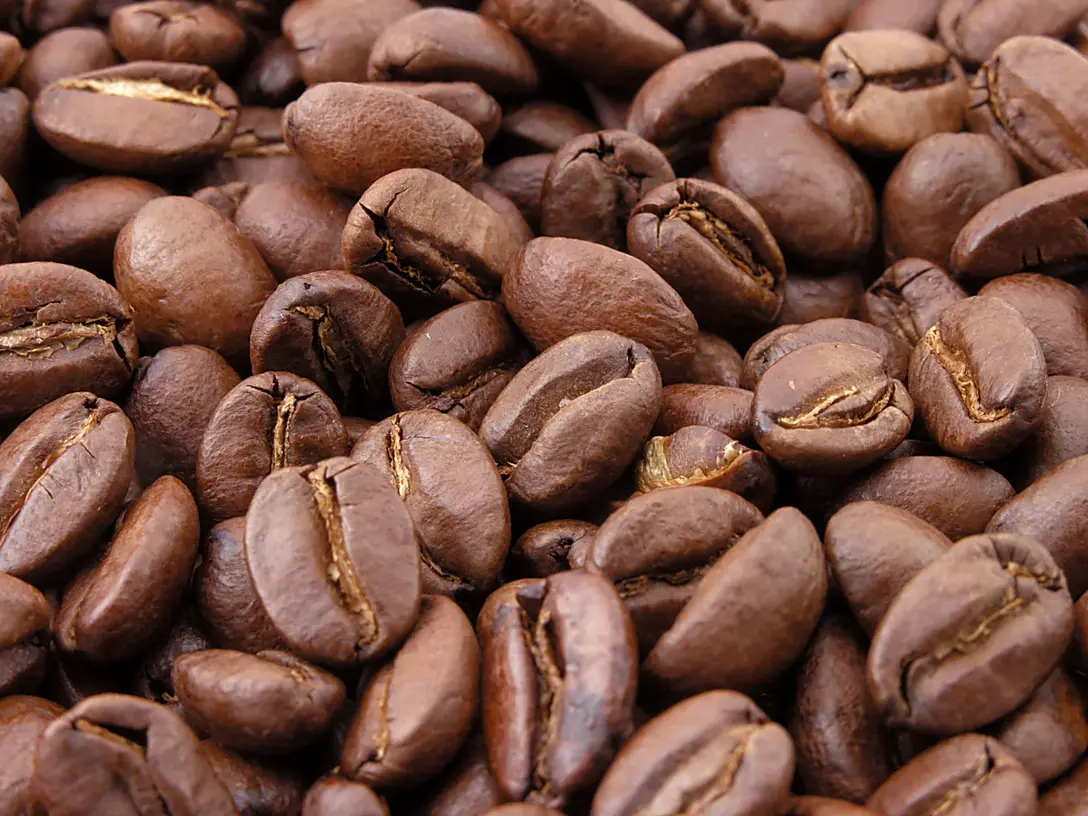 Koraput, Odisha HSD Coffee