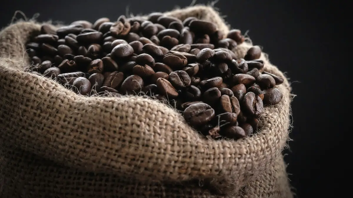 Arabica vs Robusta: Which Coffee Is Better?