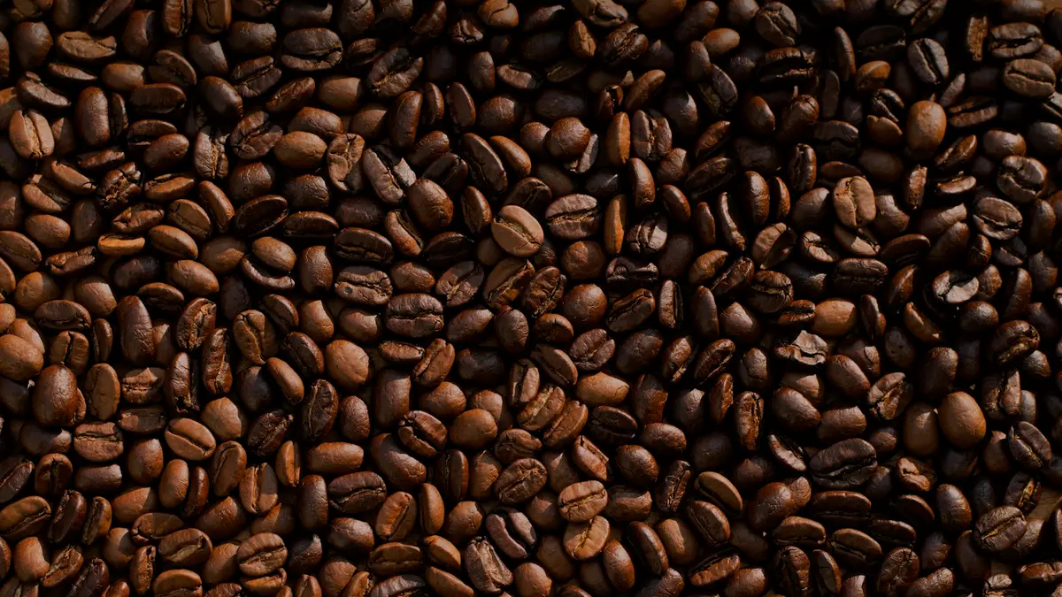 Best Coffee Beans in India: A Buying Guide
