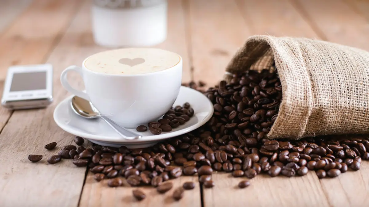 Best Filter Coffee Powder in India